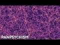 Is The Universe Just A Giant Brain Some Scientists Think So