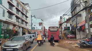 On The Hunt For Best  XUI-MAI  In Dalat Vietnam