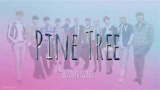 [日本語訳/カナルビ ] Pinetree (소나무) - WannaOne (워너원)