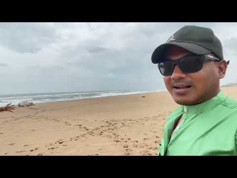 Chandrabhaga Beach Konark #konark #puri #jagannth #chandrabhagabeach