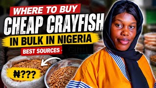 Where to Buy Cheap Crayfish in Bulk in Nigeria | Best Wholesale Sources 
