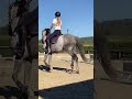 KALLAS DU CHAPELAN – PFS 148 cm – 6 ans – CSO