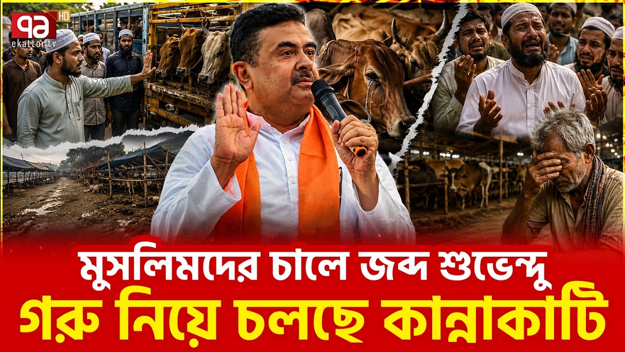 কোরবানির গরু নিয়ে যে সমস্যার সম্মুখীন