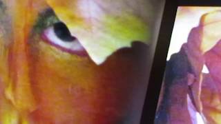 Experiments in motion