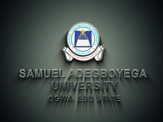 Samuel Adegboyega University Ogwa видео №1