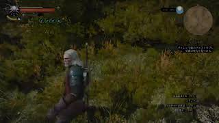 ウィッチャー3 2週目 デスマーチ #3 家庭の事情進めて男爵さん一家を助けたい The Witcher 3 WILD HUNT