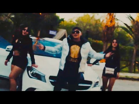 DONDE ESTAN LAS GATAS (Video Oficial)