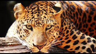 Κάθε ημέρα παγκόσμια για το περιβάλλον Title