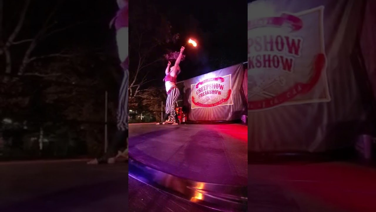 Promotional video thumbnail 3 for Opal Raven Cirque