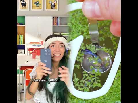 O MotorolaG86 que virou cinema na sala #hellomoto #motorolabrasil #publicidade MotoBRA