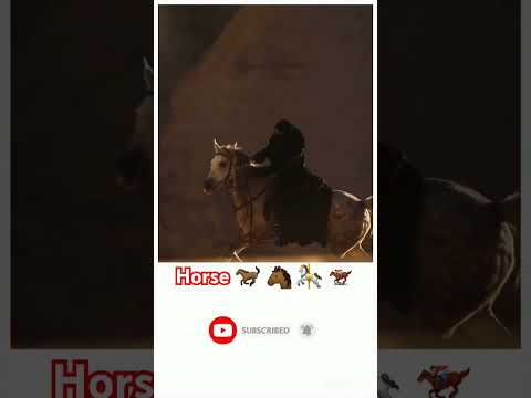 Naughty one horse🤷‍♀️ 🐴#horseriding #equestrian #horse