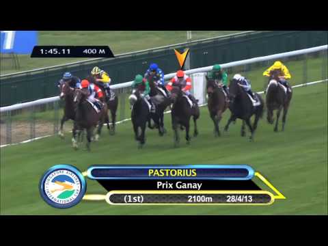 Singapore Airlines International Cup 2013 Contenders (Pastorius)