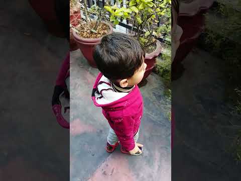 Muhammad Abdullah Faheem Finding Red Rose Flower on our Rooftop Garden | Father and Son Relationship