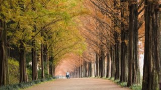 [자작곡]Autumn_my own composition