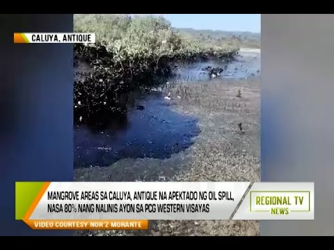 Regional TV News: Oil Spill