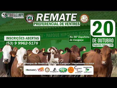 REMATE PREFERENCIAL DE VENTRES |  56ª EXPOFEIRA DE CANGUÇU