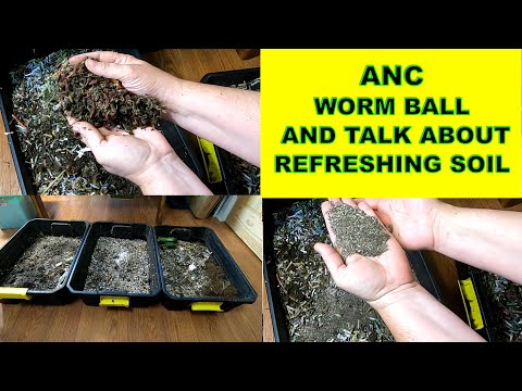 AFRICAN NIGHT CRAWLERS- REFRESHING MY SOIL