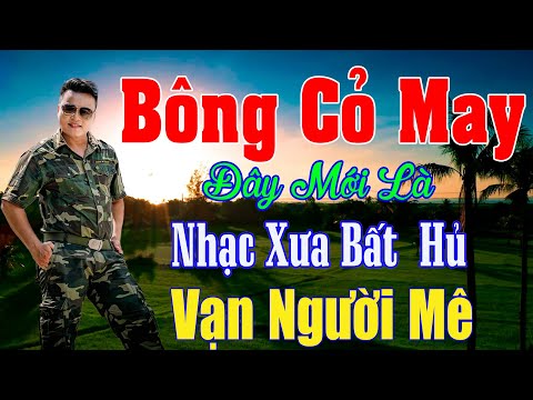 Bông Cỏ May, Xin Trả Tôi Về - Công Tuấn ...LK Rumba Hải Ngoại Vượt Thời Gian, Đắm Say Bao Thế Hệ