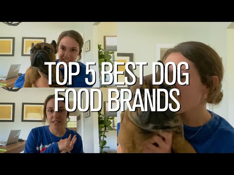 Top 5 Best Dog Food Brands