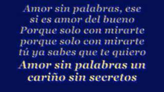 Armando: Amor Sin Palabras Lyrics