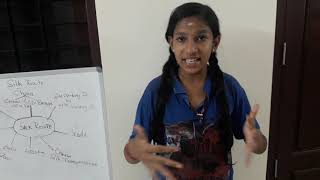 What Is Silk Route Explained by Sai Durga|History Competition|Class 6-Class 9| Intellithon Platform