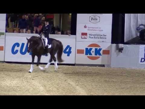 FLORISCOUNT - K+K-Hengstschau 22.01.2014