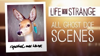 Life is Strange  | All Ghost Doe Scenes 🦋