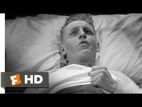 西部戦線異状なし