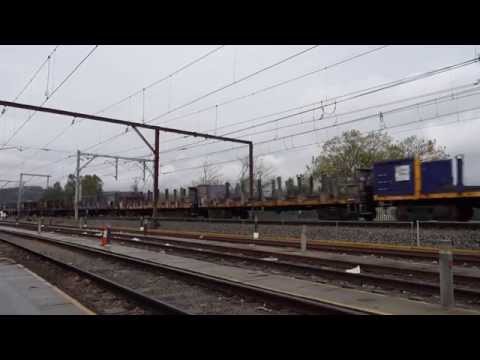 5 NR's, all elephant style lead 2NY3 - 24/8/15