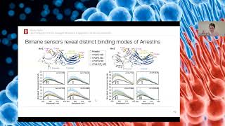 LRD Seminar | Membrane lipids fine-tune cellular signaling