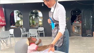 Download lagu Luxury Morning! CUTIS Takes Goat Out for Coffee and Stuns Everyone mp3 Download lagu Luxury Morning! CUTIS Takes Goat Out for Coffee and Stuns Everyone mp3