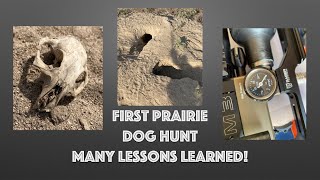 What I Learned During My First Colorado Prairie Dog Pest Control Experience-with Joe of Predator Int