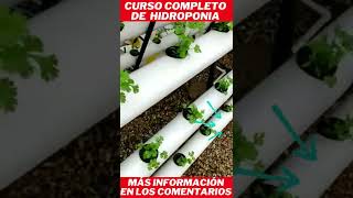 curso de hidroponia chile #shorts
