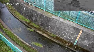 新薬師橋映像監視局