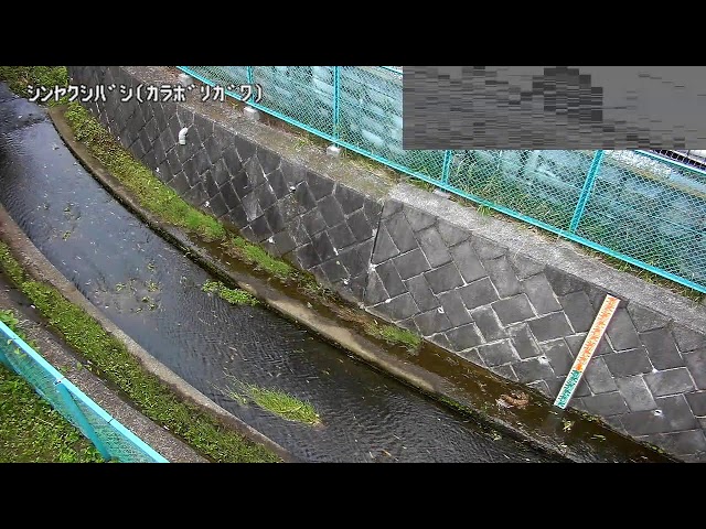 新薬師橋映像監視局