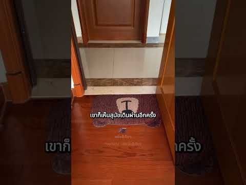 สุนัขที่หายไป กลับมานั่งอยู่ตรงหน้าเขา