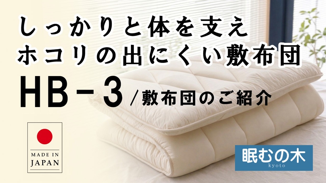 �yHB-3�~�z�c�ɂ��Ă��Љ�z