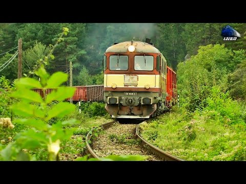 Fluieroasa 60-1006-0 cu Marfar TFG in Defileul Crisului Repede - 05 September 2014