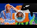 The Aquarium Song Colourful Fish From The Sea Educational Videos For Kids