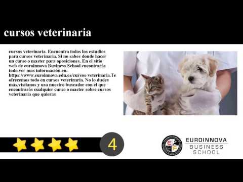 Cursos Youtube Online Euroinnova