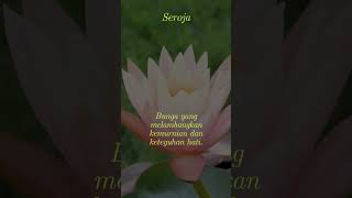 Download lagu Seroja Pesona Bunga yang Menakjubkan! mp3