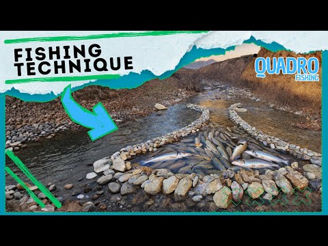 CATCHING BIG FISH WITH UNBELIEVABLE TECHNIQUE — PRIMITIVE FISHING SKILLS IN ACTION