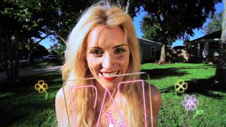 Novi Blackbirds color comparison