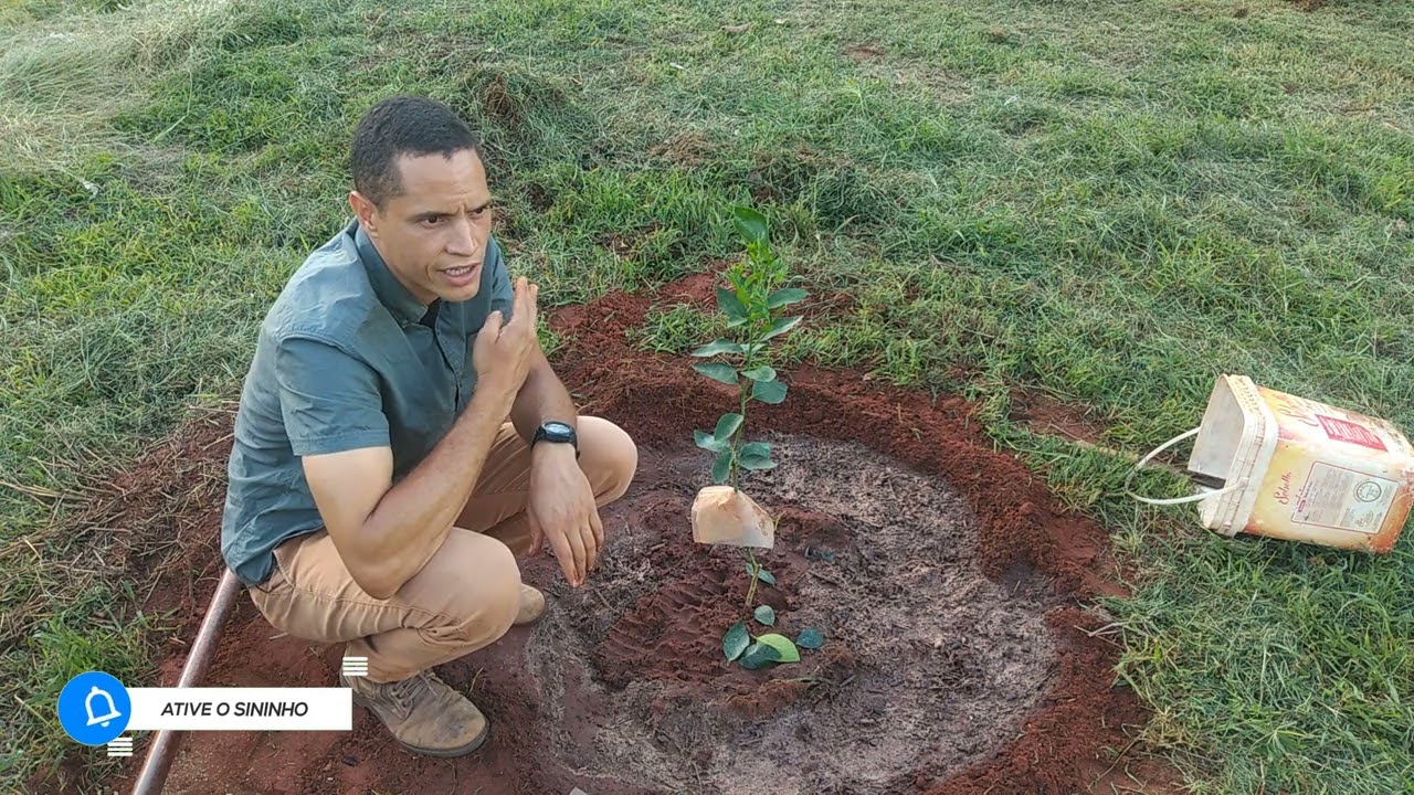 Como acabar com formiga cortadeira sem gastar um centavo. SOLUÇÃO DEFINITIVA