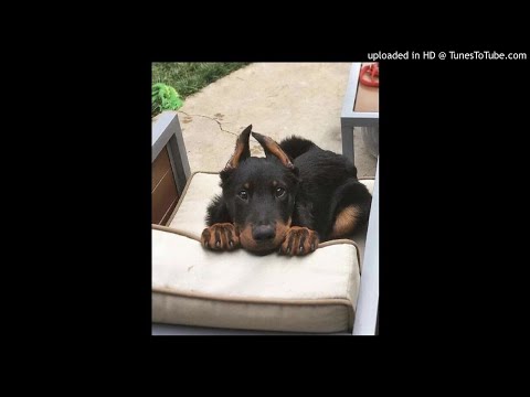 [FREE] Makko x Fergy53 x Pashanim Type Beat- "Space Wars " | 2021 | (prod.carlit030)