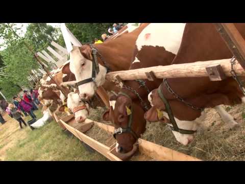 Chovatelský den SYŘENOV