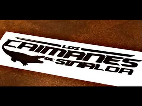 CumBias y Zapateados Popurri Mix | Caimanes De Sinaloa