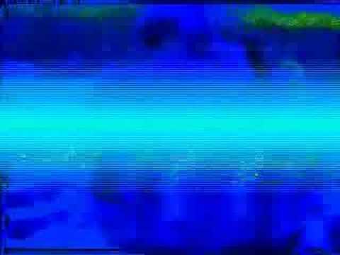 Mandalorian Warriors - Elite Squad