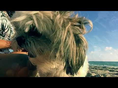 Beach prayer Ritual With Seashells
