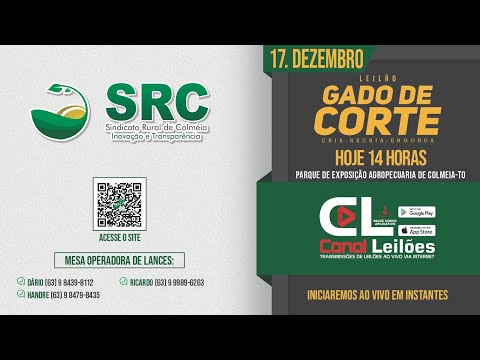 Canalleiloes.com | LEILÃO ESPECIAL FIM DE ANO SRC LEILÕES - COLMÉIA - TO
